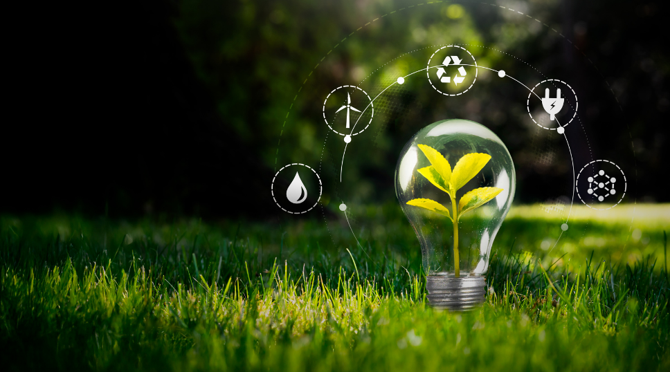 International Engineering Day for Sustainable Development | SETU in Waterford | TY